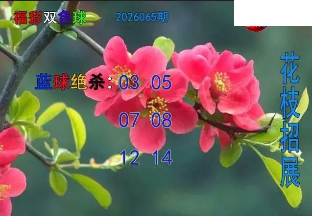双色球2026年图迷065期 花枝招展蓝球绝杀图