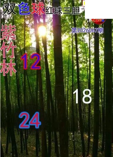 双色球2026年图迷067期 紫竹林红球三胆图
