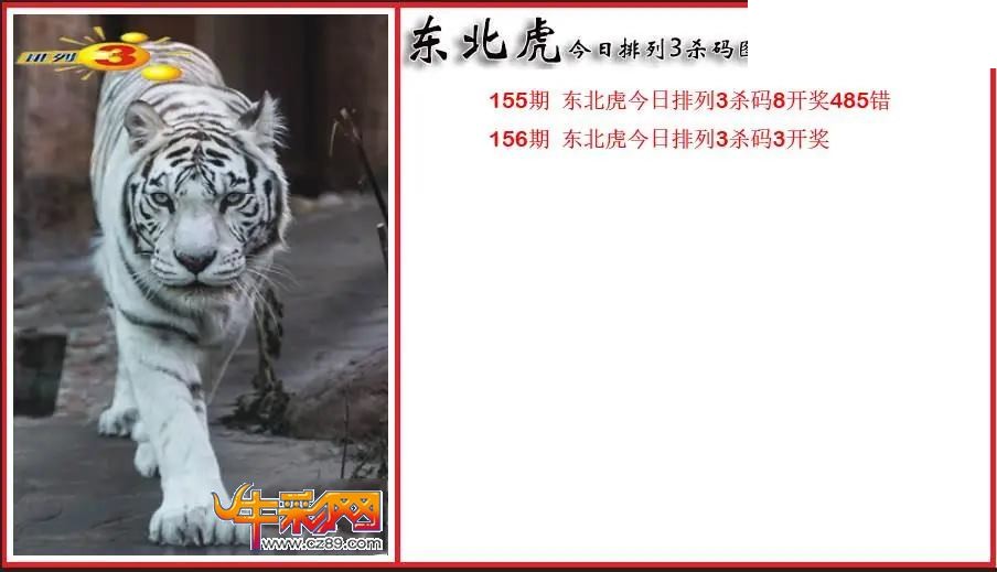 2026156期P3东北虎通杀一码图