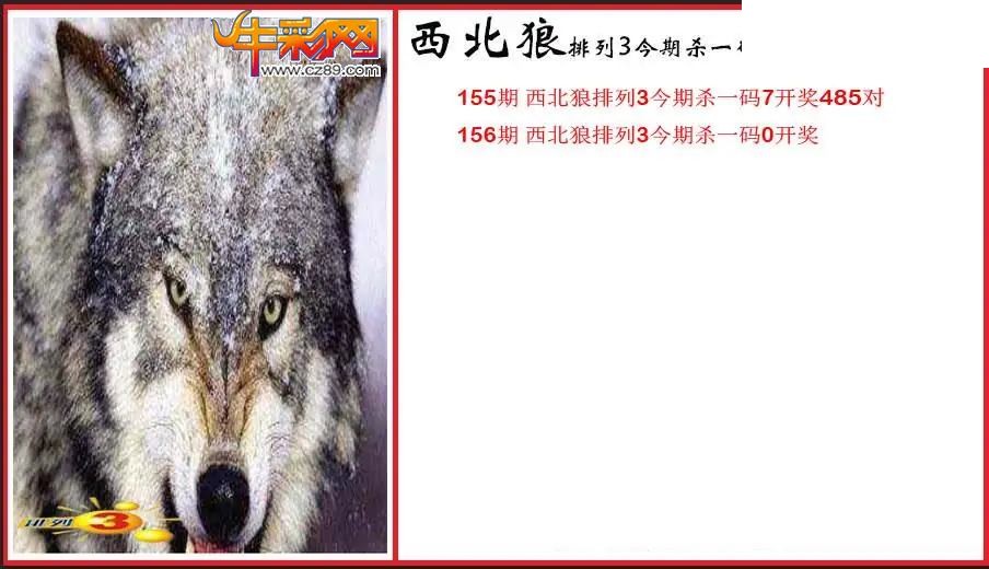 2026156期P3西北狼杀一码图