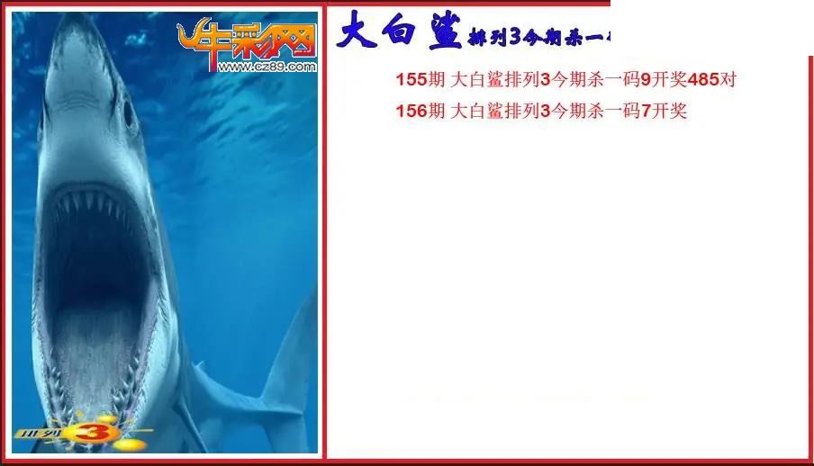 2026156期P3大白鲨今期杀一码图