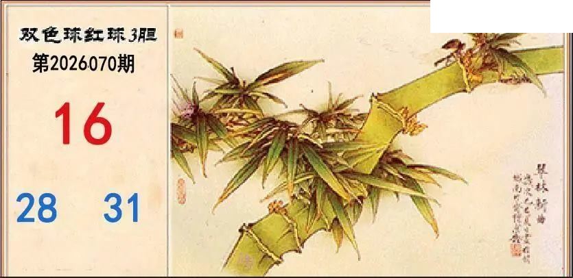 翠竹红球三胆26年070期双色球图谜