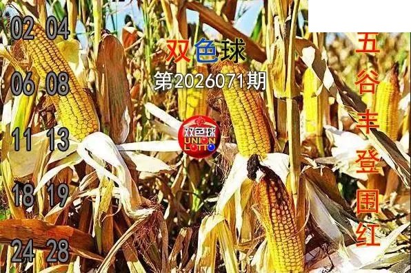 双色球2026年图迷071期 五谷丰登围红图